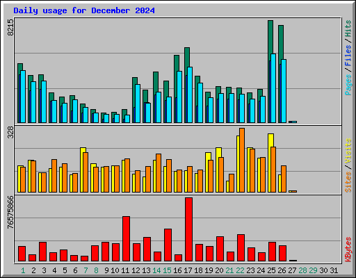 Daily usage for December 2024