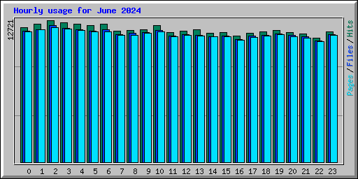 Hourly usage for June 2024