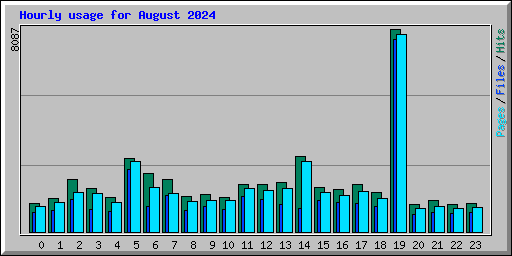 Hourly usage for August 2024