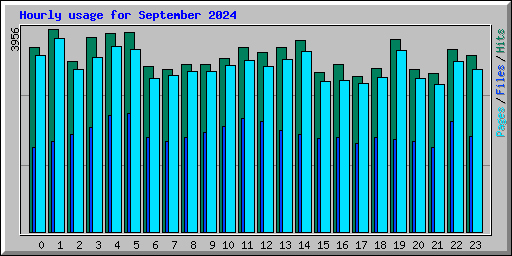 Hourly usage for September 2024