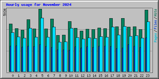 Hourly usage for November 2024