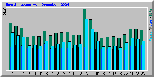 Hourly usage for December 2024