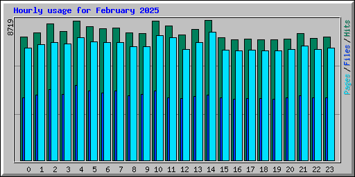 Hourly usage for February 2025