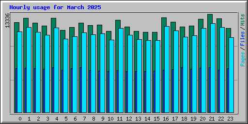 Hourly usage for March 2025