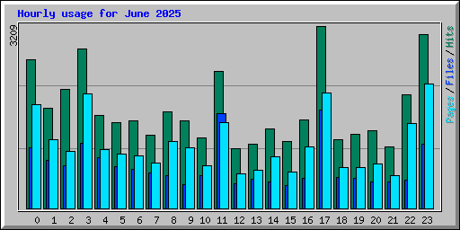Hourly usage for June 2025
