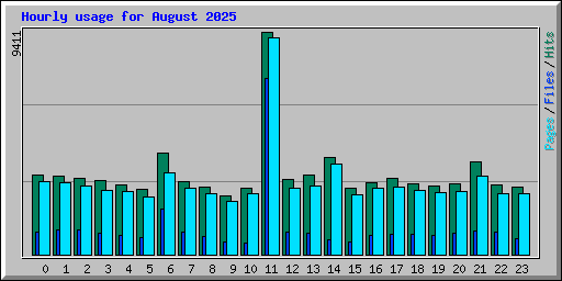 Hourly usage for August 2025