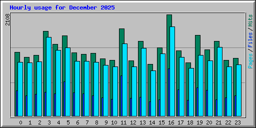 Hourly usage for December 2025