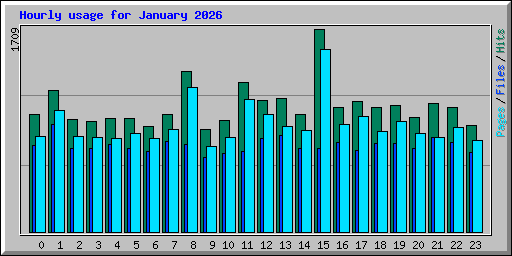 Hourly usage for January 2026