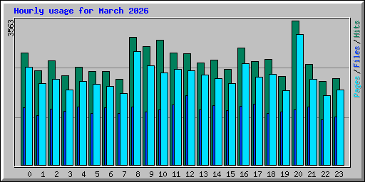 Hourly usage for March 2026