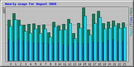 Hourly usage for August 2026